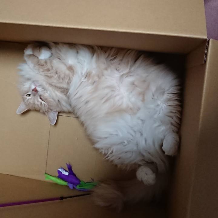 1750ea0d 393b 4b0d b1e1 b36530e4e4a7 1538390246690