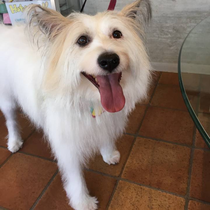 1751510f 8045 496e a0ca 3b798229f800 1509687714204