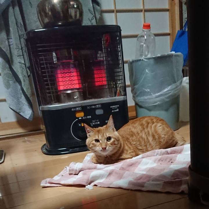 17517459 9f14 431f 9142 35f085550012 1636926342107