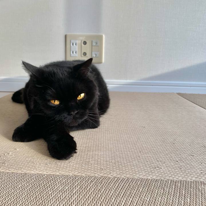 1751a716 6203 4af5 80aa 7a7d9035bc78 1749199746572