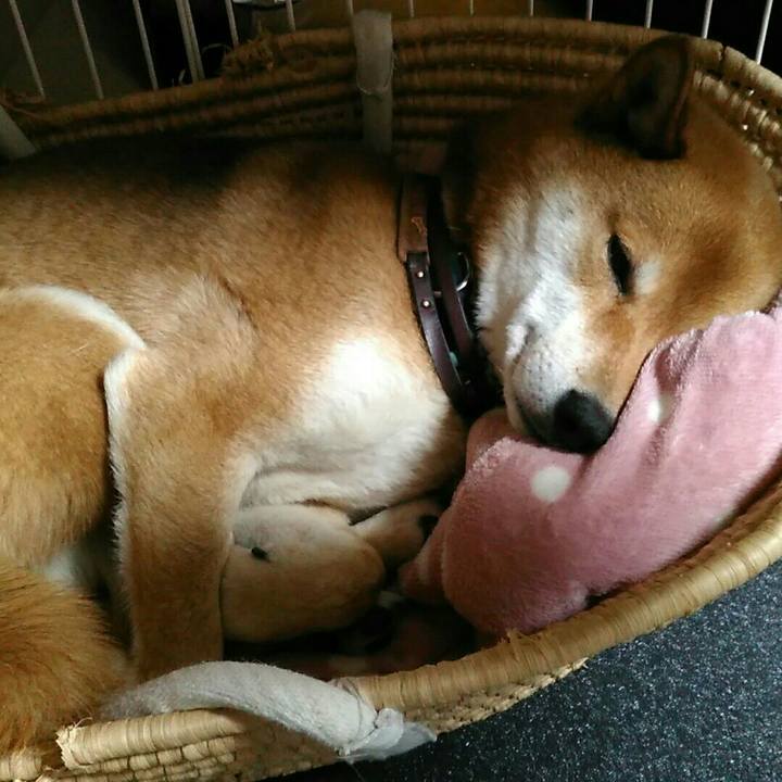 17526b11 f0b3 4a94 b429 2778768701a6 1548245485884