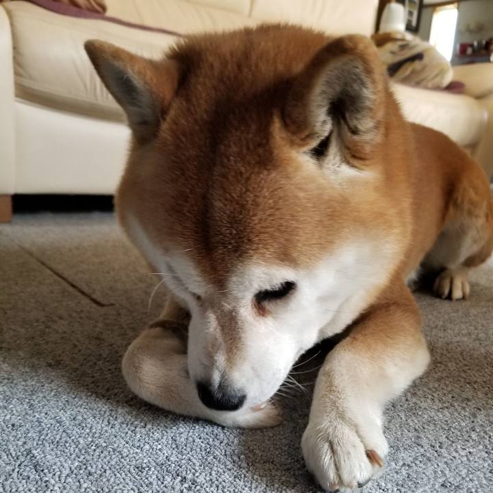 1752859c a5a0 43e1 943c 52d20e0fc4ea 1617245414493