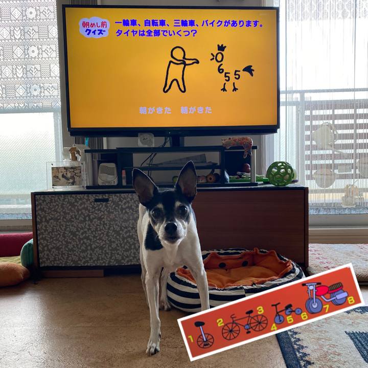 175286bf a7e5 4a74 9c1d 10b49209771a 1616537368404