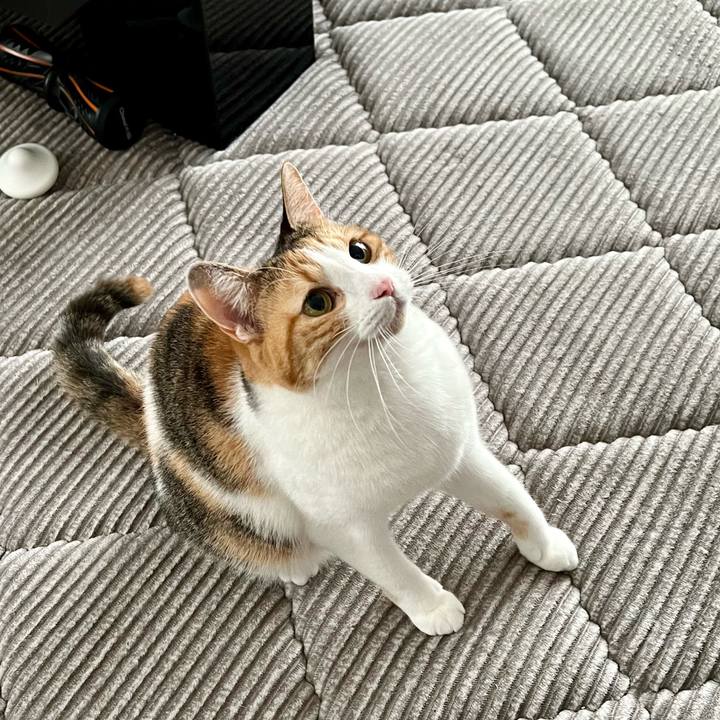 17528719 a28e 4538 9ae3 86a3715d5c9d 1764819528126