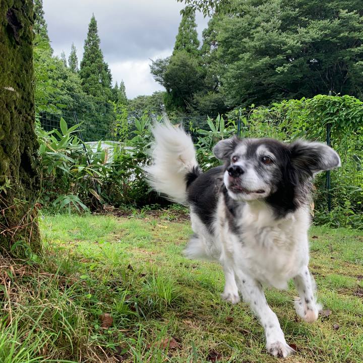 17528a3a 3c3c 4b8b 9969 1958ba3de99e 1599029697793