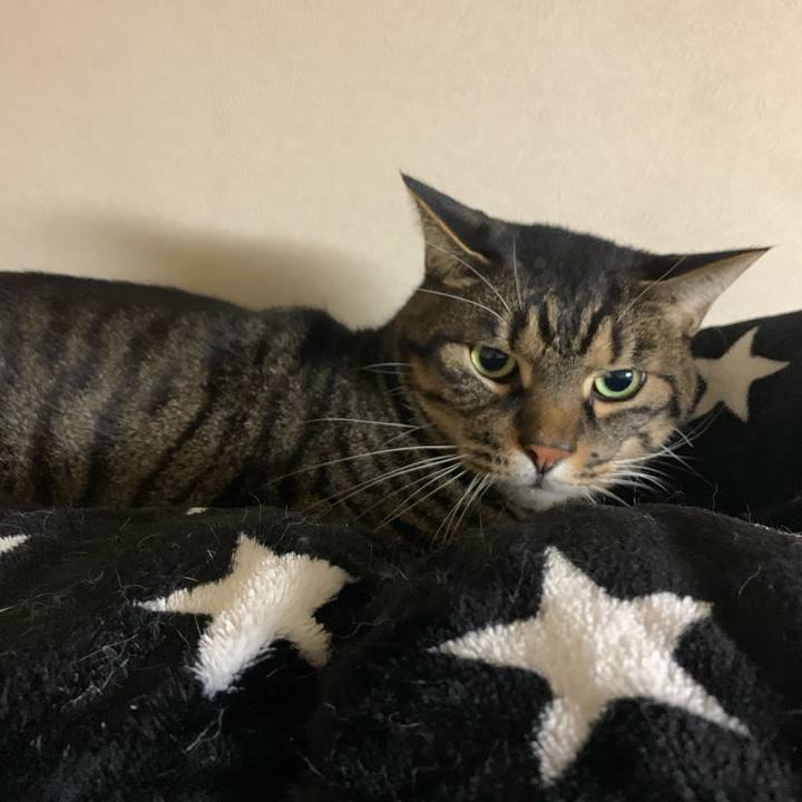 1752d8cd df49 471a 9a02 5b6f0cd2f1bf 1575896790901