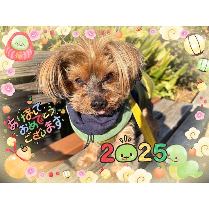 1752dde1 a07b 4cf3 8279 f4a6521112ae 1735794180524