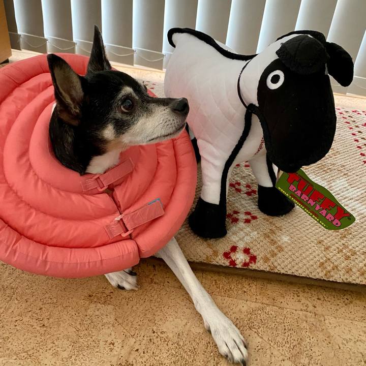 1752e49c 8434 4fa3 b033 64a0188cd4d3 1620017556822