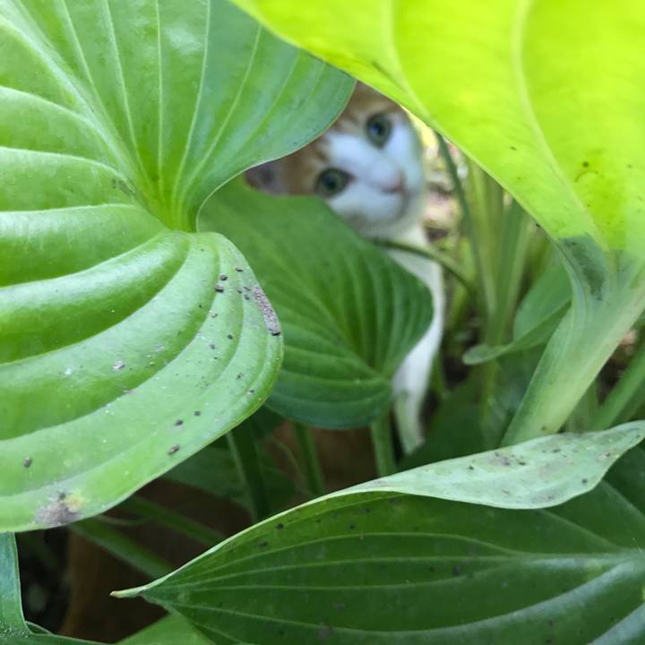 1752f78d 6460 4a05 bfc2 0e06999db867 1536649686718