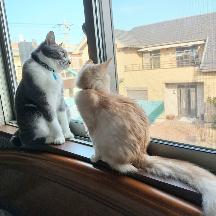 175314da b9b8 4a98 8f19 a3fc3dd0a4c5 1609029898274