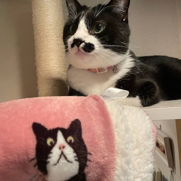 17532137 fd6a 4327 9c18 5684571453ef 1671451473383