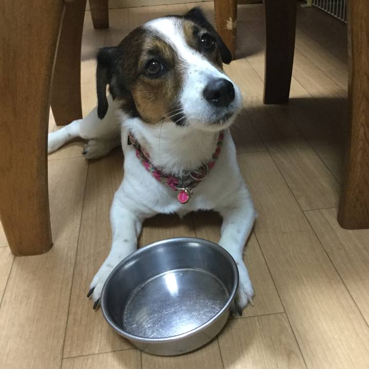 17532507 5f3b 438f b43e 99378d8924ef 1523785772046