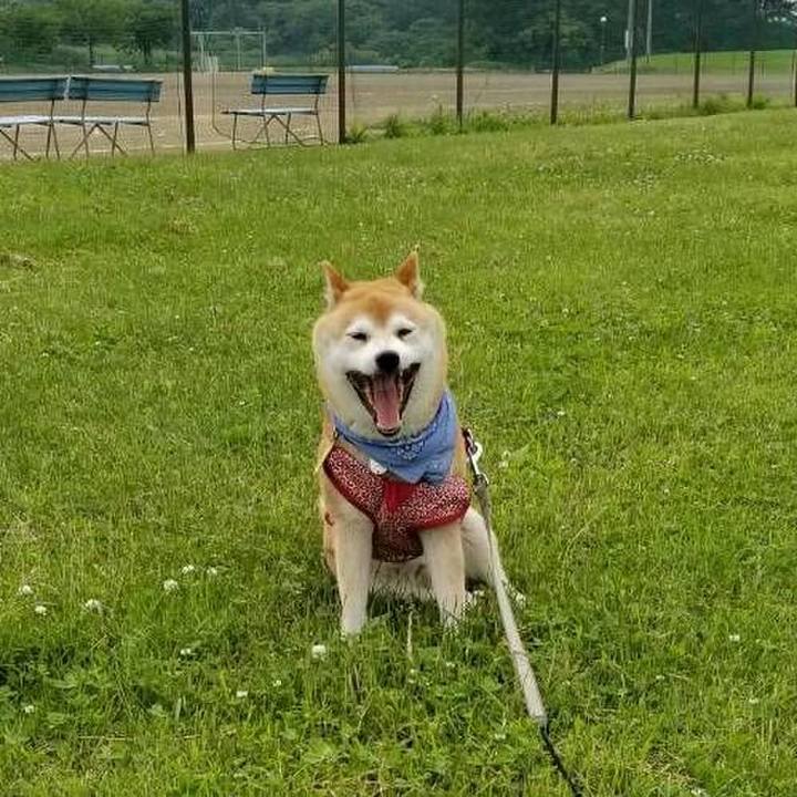 17532629 c43a 4830 9be7 159fab340b63 1560939870630