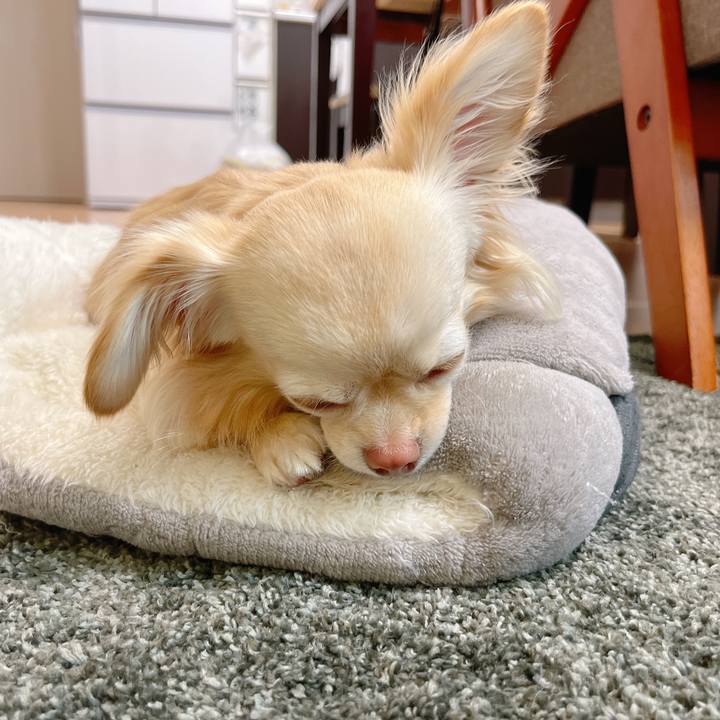 17533202 7c34 4c9e b5b4 565e287c0c39 1650757788579