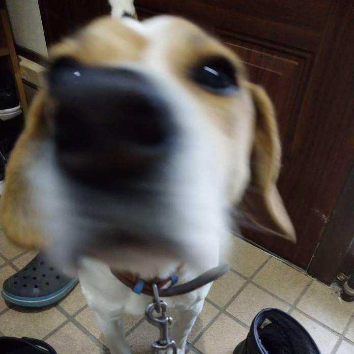 175335b2 8a4a 4f99 86dd bd5a54be33c9 1643986264567