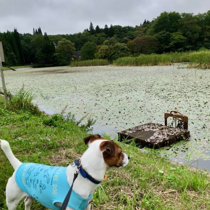 17535441 4e4c 42ce afc3 e27b0f3ccd9d 1601092853051