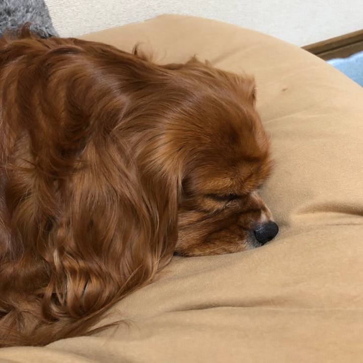 175364f4 0b2a 49d5 8bf7 0623618ad999 1643119459834