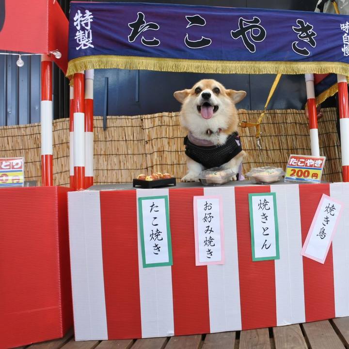 1753928f e4d8 489b 9227 ea2047ff1b6b 1690715359456