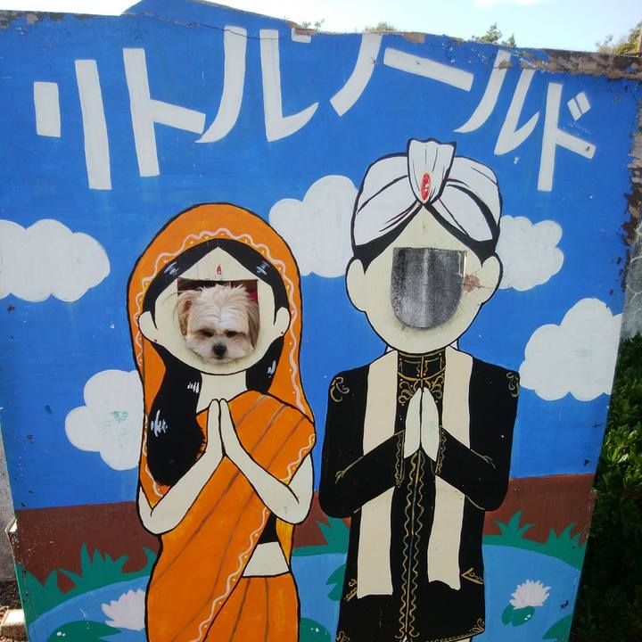 1753bd13 3e59 42dc 8555 9f320f4e63d7 1509796413936