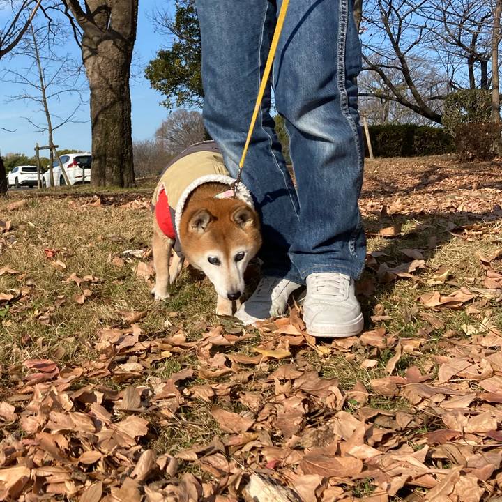 175411c2 891e 4bec aa89 d60443c20151 1767156395535