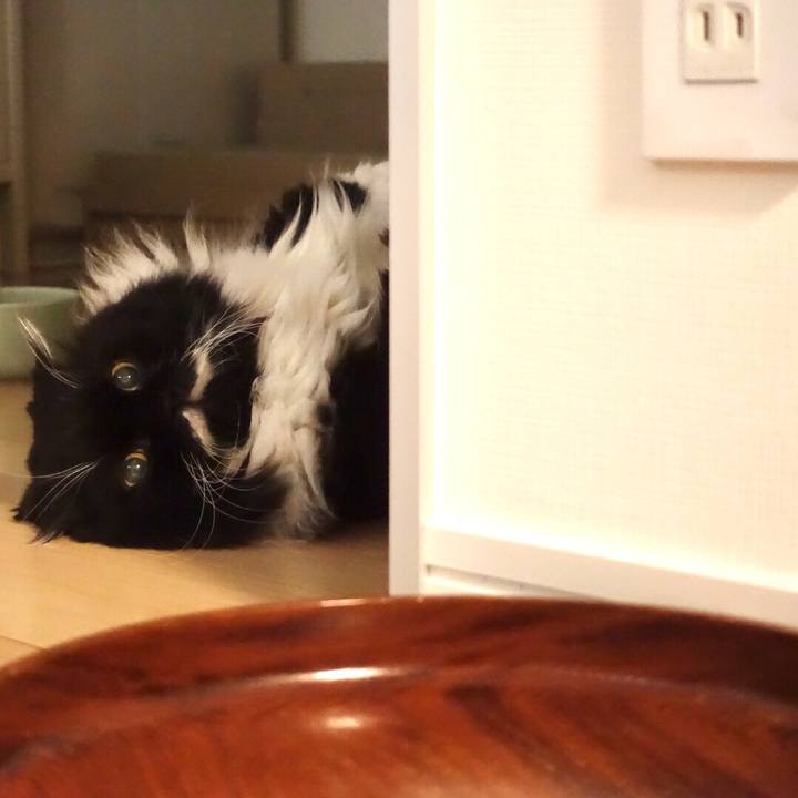 17542c24 35d7 4bec 9522 0f57264a454c 1518361394706