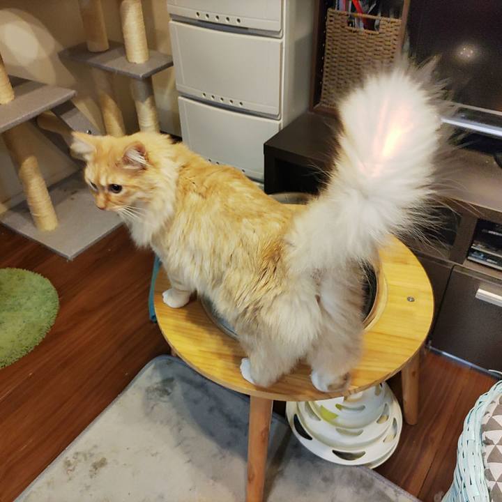 17547bf5 51fd 4326 bb9d 88ffb1e0ed36 1675893048681