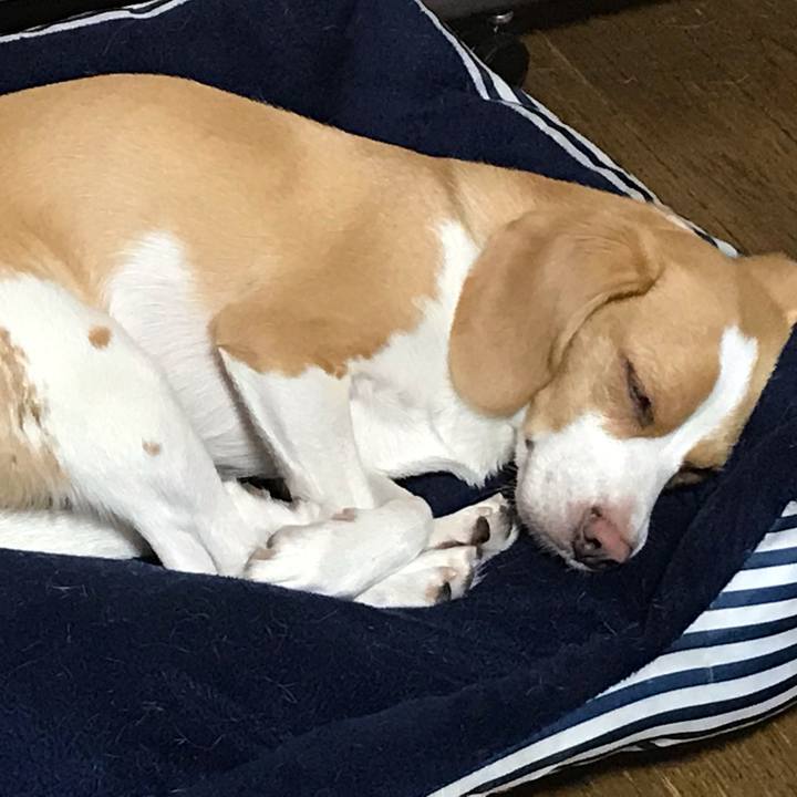 1754aab7 d265 44b9 bd25 0e0fd438965b 1563071175570