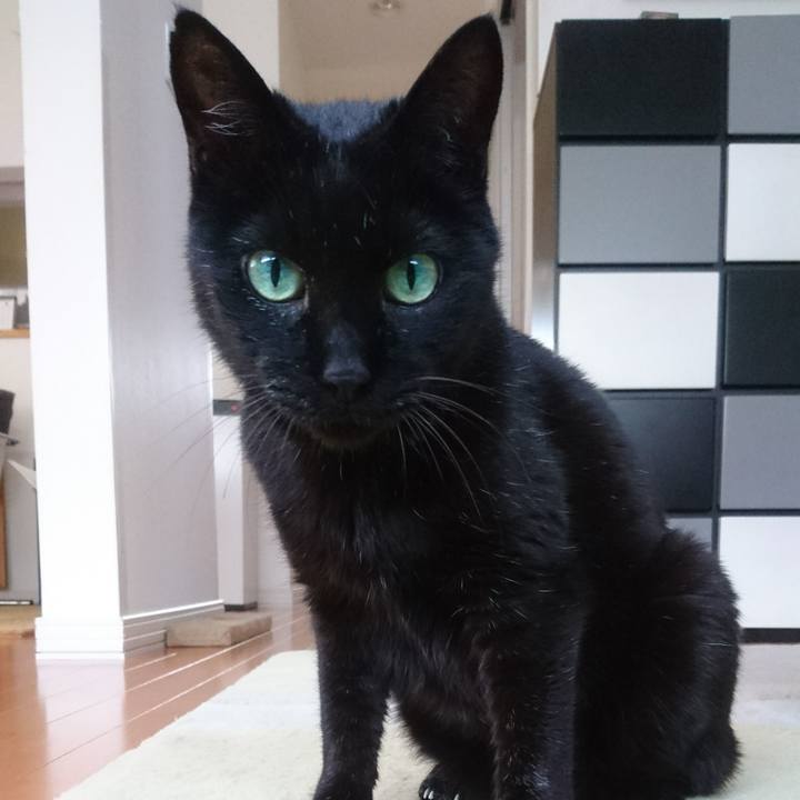 1754acee 05bf 47c8 b67f 43dc98b832c9 1529402194666