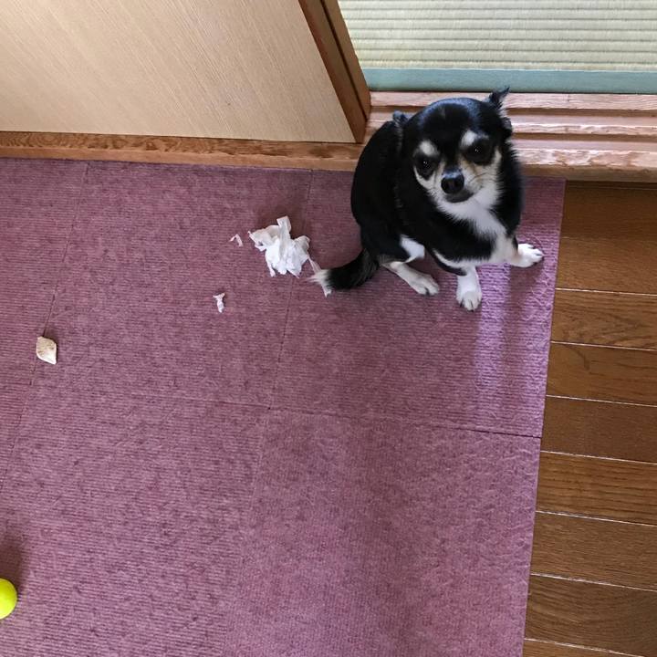 1754b3f9 c012 4ee7 bc6d b5d7eb08f43c 1524874708530