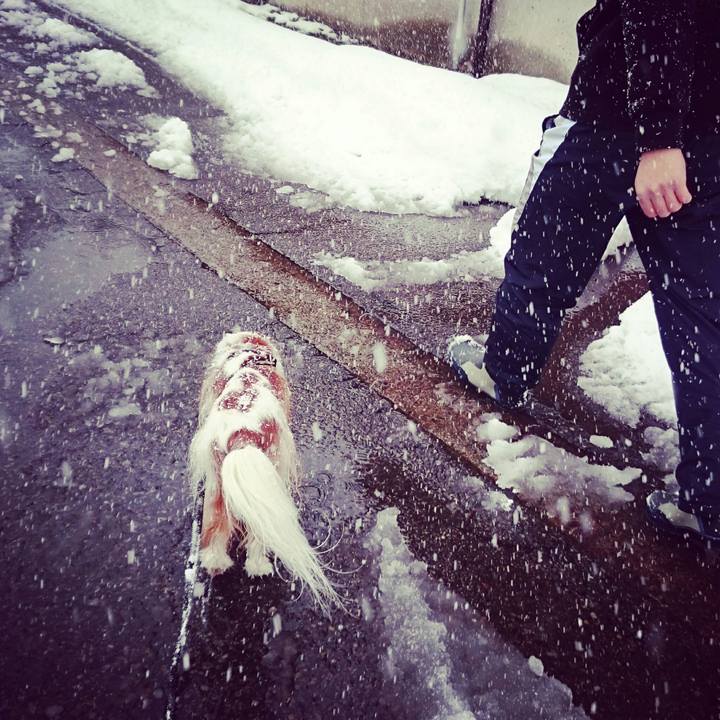 1754d6b6 8012 435c 8a66 bc0387fde6dc 1515036353553