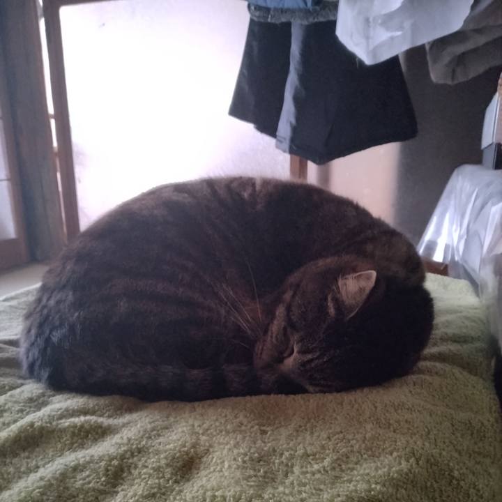 1754e59c fa4d 44fa 88aa ac891e783233 1679870739611