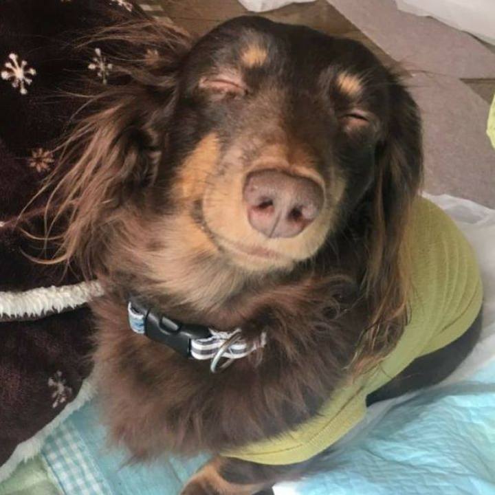 1754f188 1453 4010 ad9f 5afc9a63e31f 1772658073960