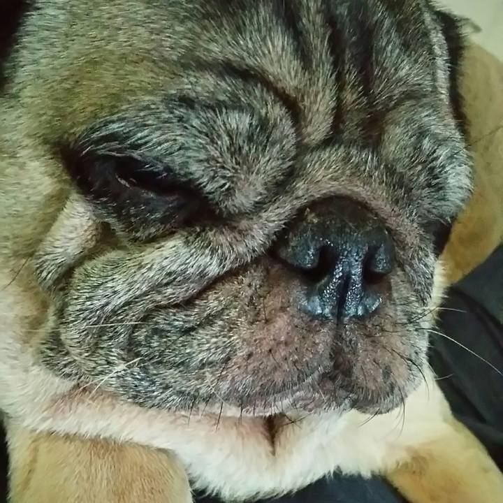 17551f9d 1669 490c a255 924a24eb3722 1540296448636