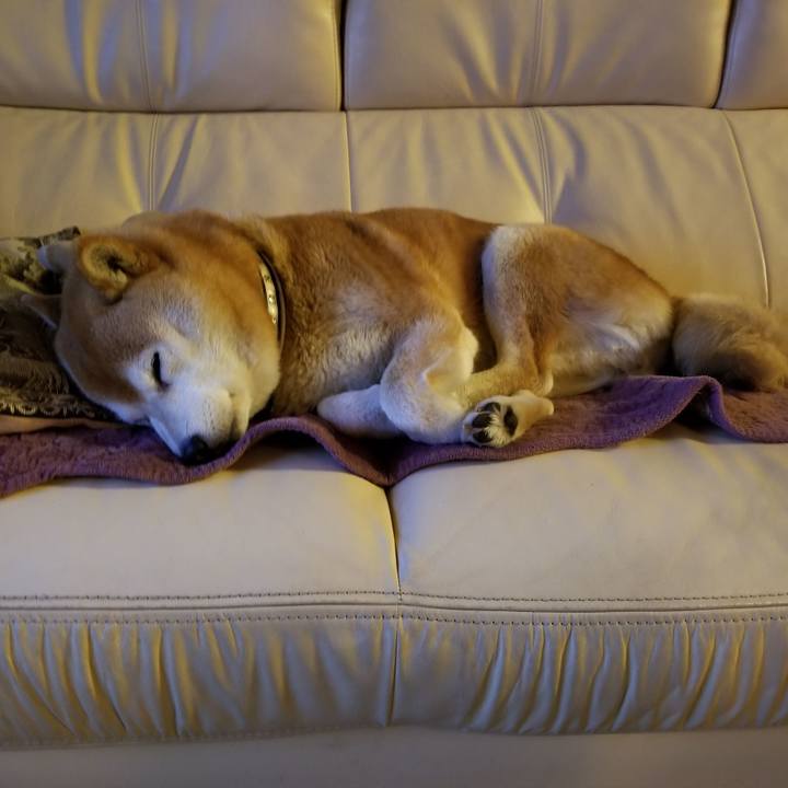 17552318 7961 4ebf 9c82 115fd4da49af 1620125767191