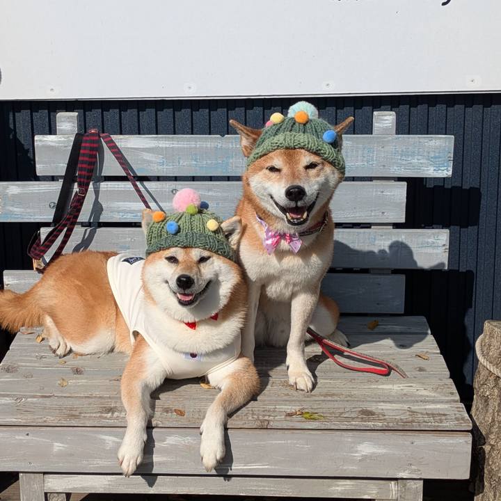 175531f2 ff81 42fc 988a d67a1917f6d3 1762588160224