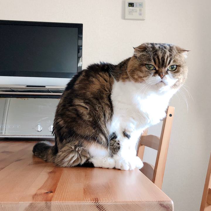 17555f3f acf4 4c7f 9fab 4d6bc0a6535a 1587714527739