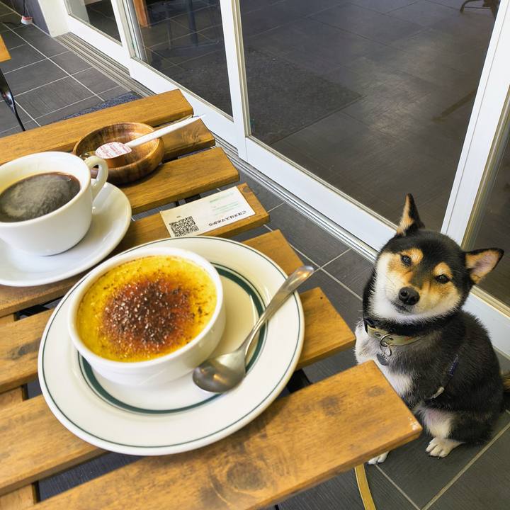 17558bf0 b298 4d84 993b 7bf40d386d33 1765770126870