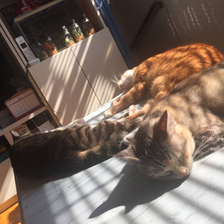 17559b83 4b77 494b 8134 fc0fecf99f4f 1572576542165