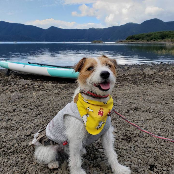 1755b887 0cc8 4680 8f7f ea403d2846c3 1633751072565