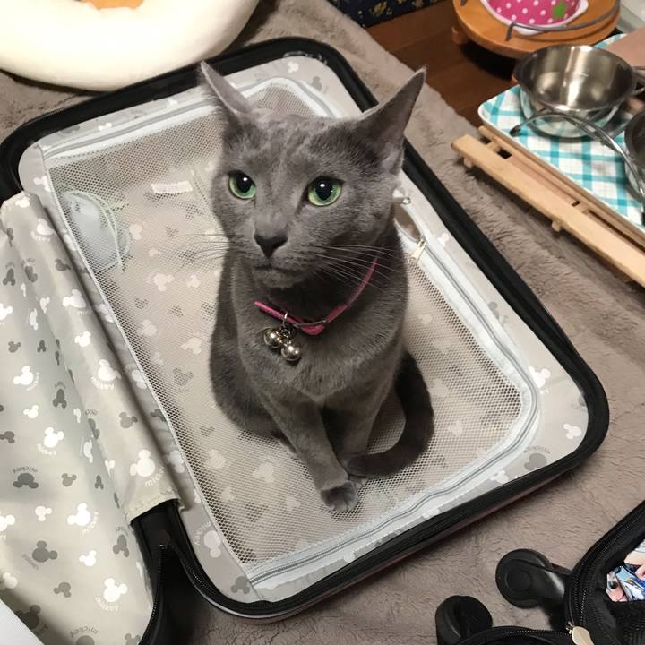 1755d1fa 1d6b 43d4 bd77 f8a2a34ee36a 1554727538398