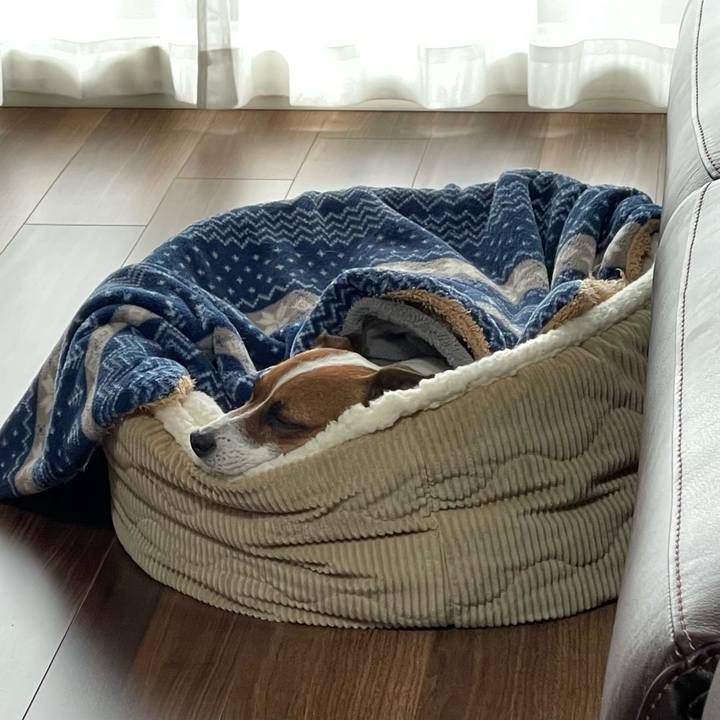 17560921 cb86 4218 9ddd 4227d82b4c29 1645405052626