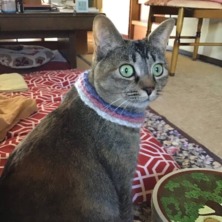 17564a49 5844 49b6 8fe8 da9487c67cec 1619423850829