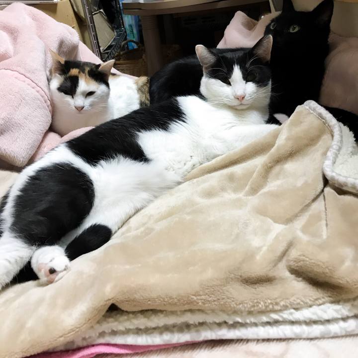 1756b0cf 0ec1 43d9 a7a9 907438e24ad2 1511005348144