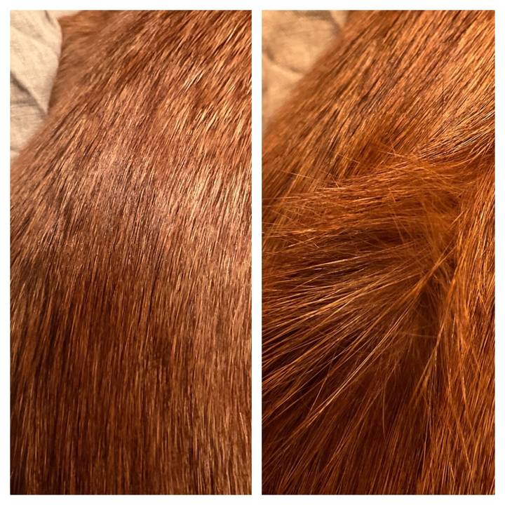 1756ba6b 1218 46e6 8548 4823bc00e1e7 1632693018887