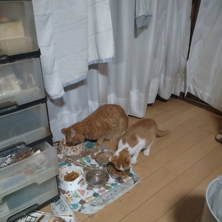 1756bbda 1104 41bb a60d 9957663fc62a 1732140498286