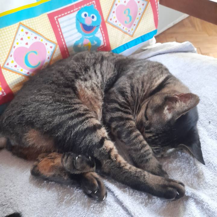 1756c0f2 b7fa 4abd a8b7 4aaae6aaedab 1768269017755