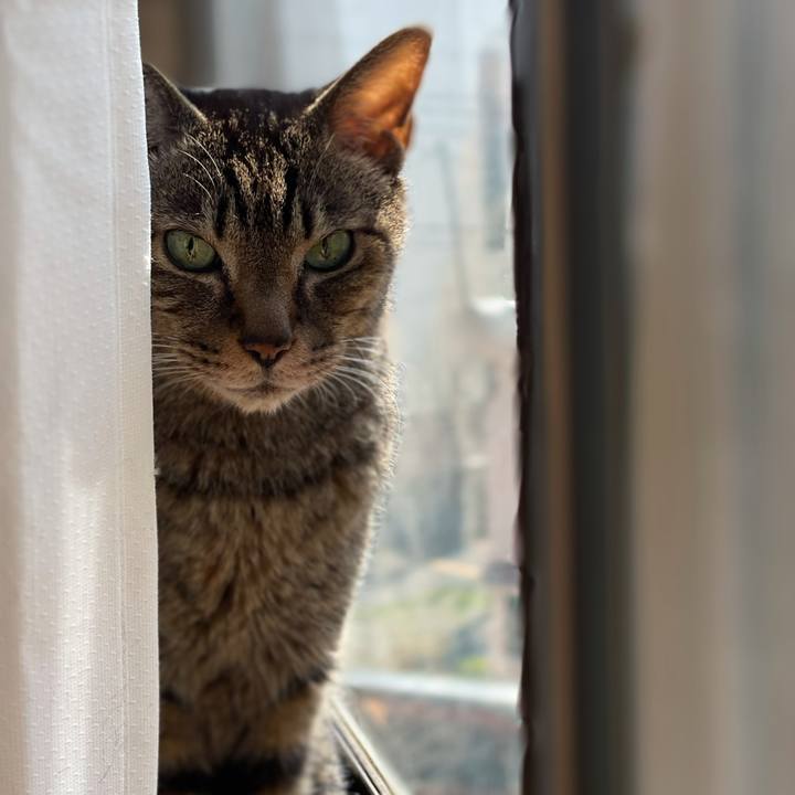 1756c641 84f6 48b4 94b3 48d3fbaf3392 1619920569339