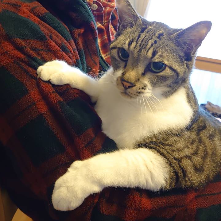 1756d8b4 6fec 4257 847d 541a6ec715c3 1700201983092