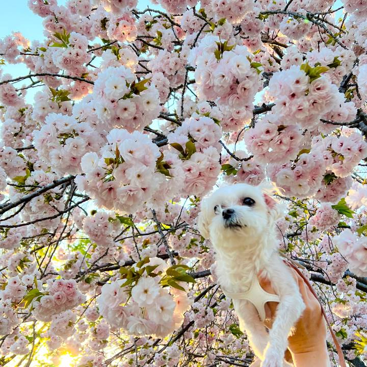 1756ddc1 2062 4390 b7b9 7bbfb6fcca47 1681031632206