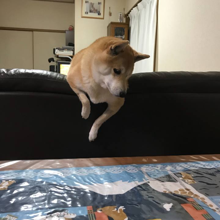 1756f161 4a58 4dcc a294 1ef6548c5498 1512561394609